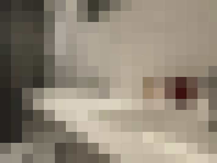  / #11