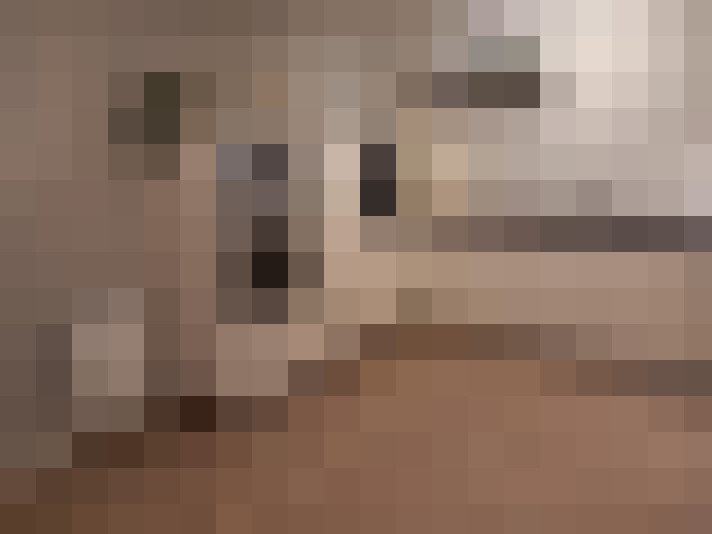  / #11
