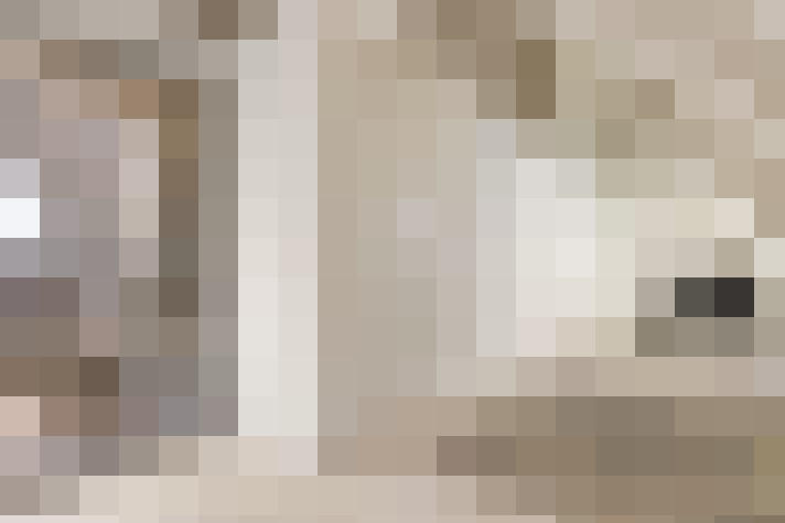  / #15