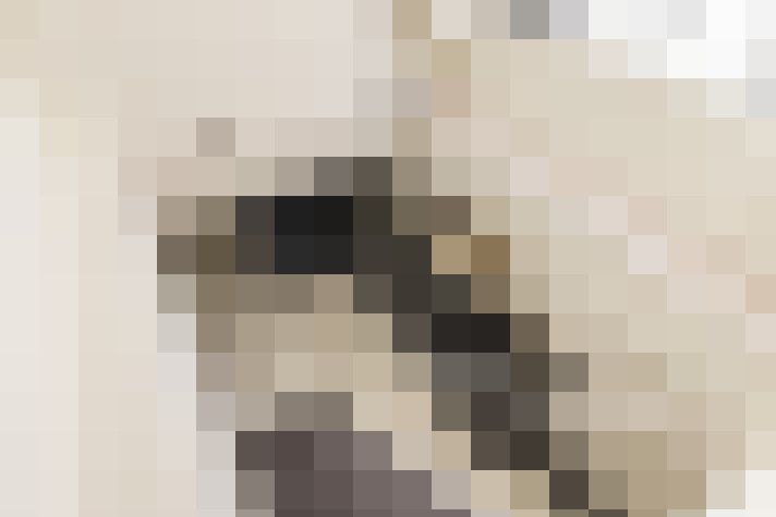 / #13