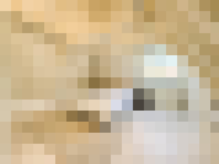  / #23