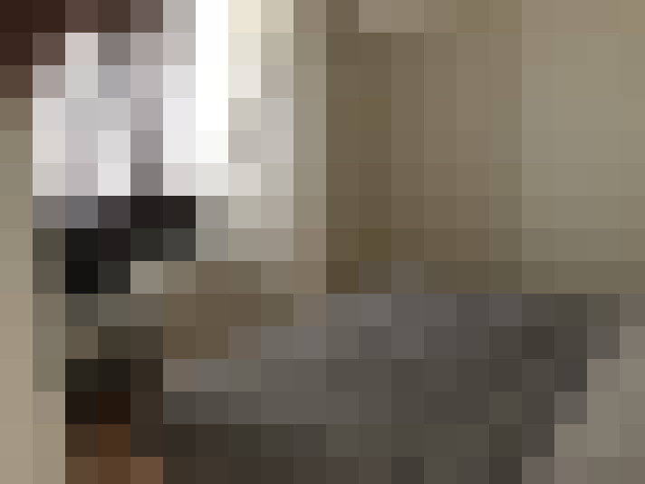  / #15