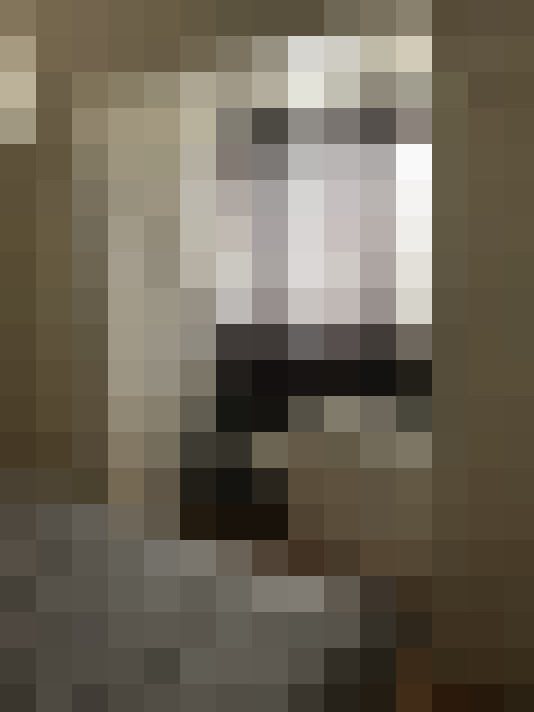  / #14