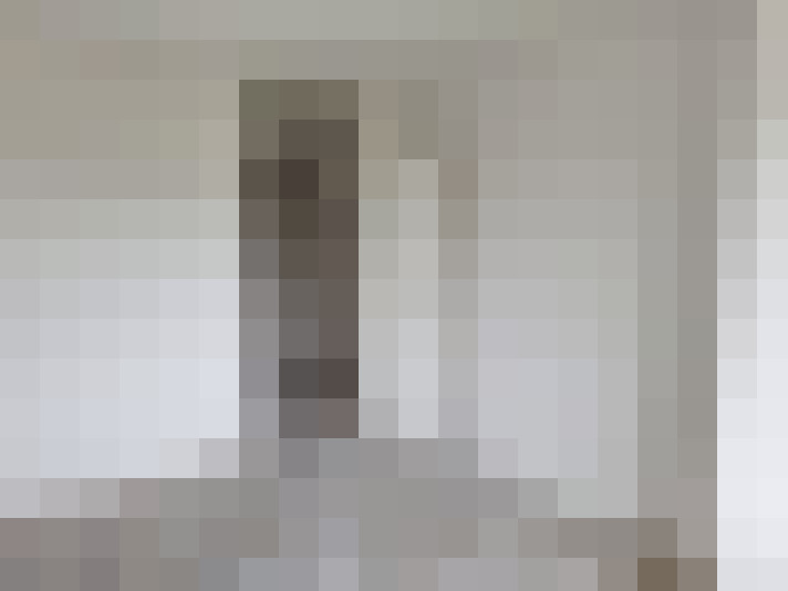  / #19