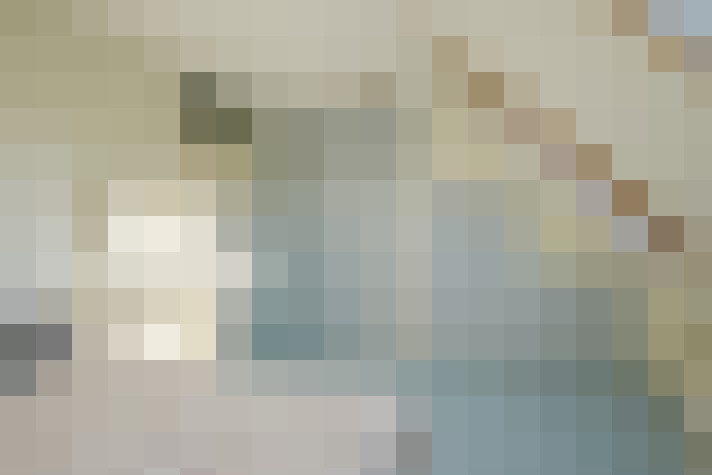  / #17