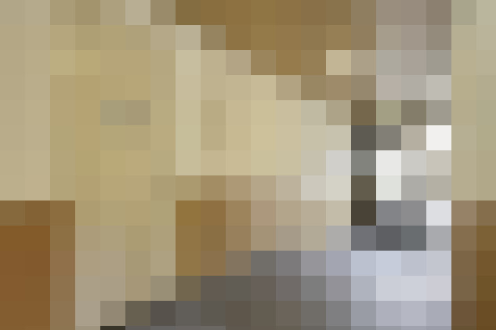  / #16