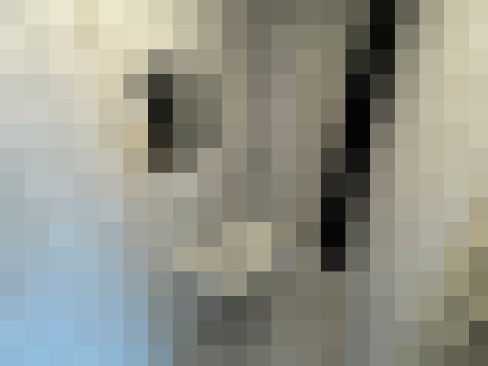  / #11