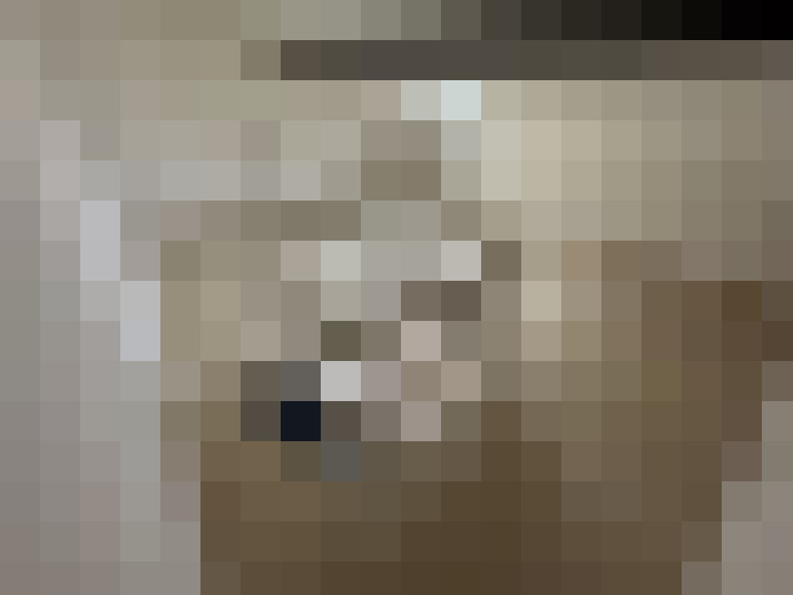  / #6