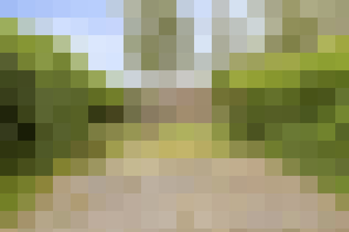  / #31