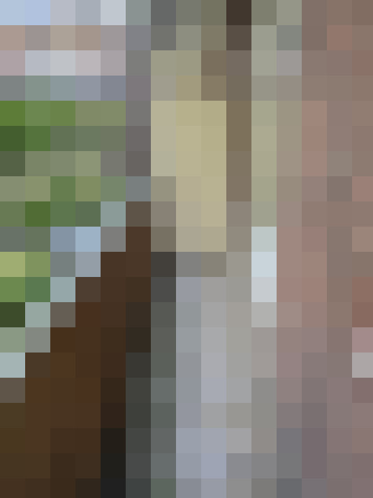  / #18