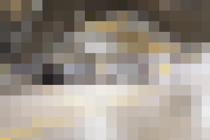 / #16