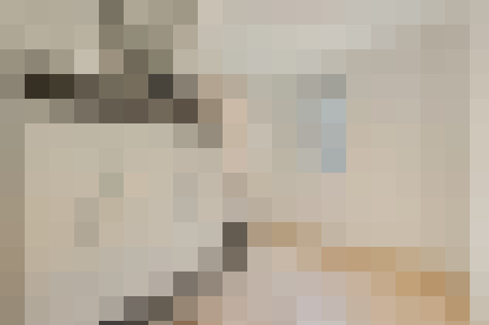  / #38