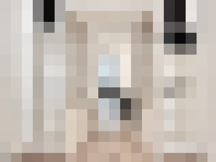  / #19