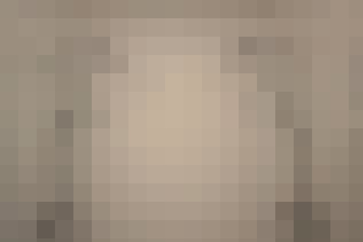  / #24