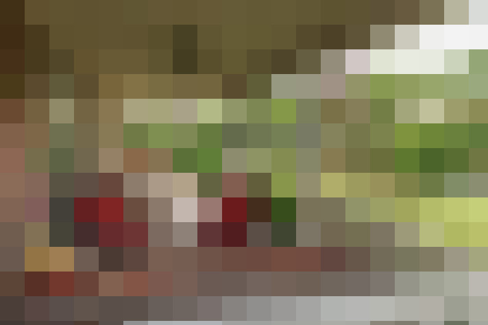  / #19
