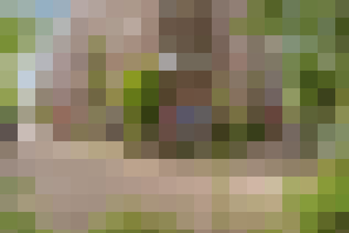  / #51