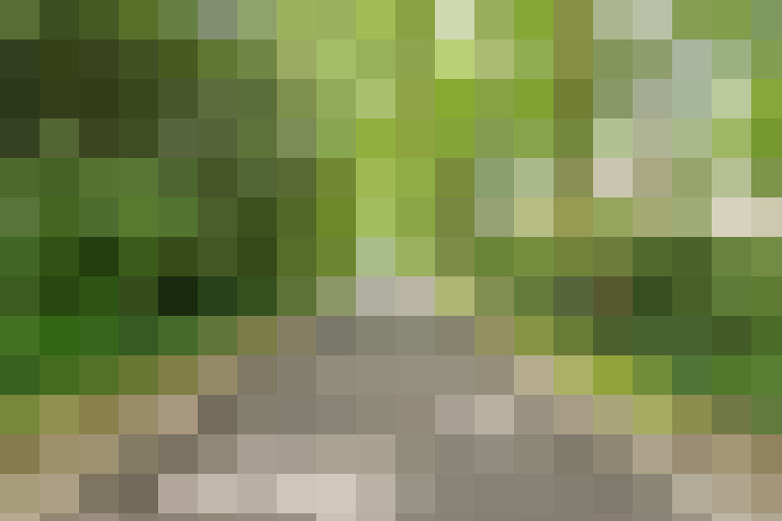  / #52
