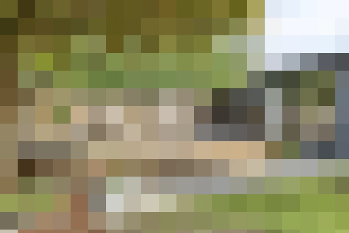  / #16