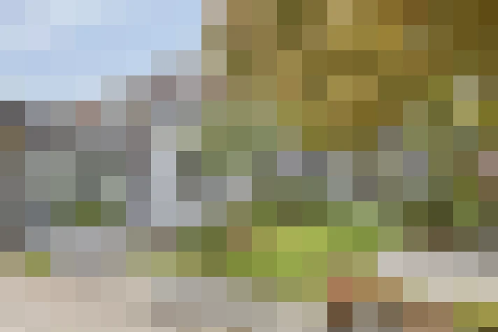  / #17