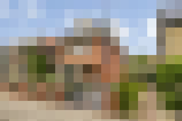  / #54