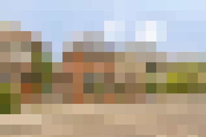  / #56