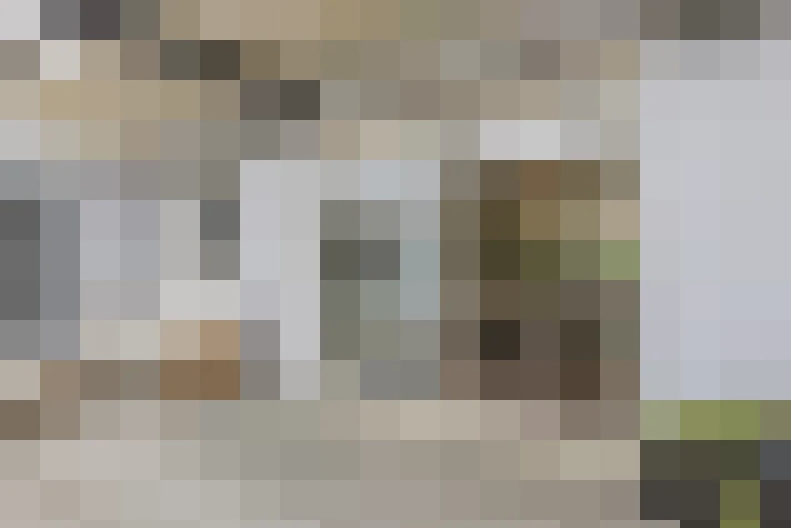  / #14