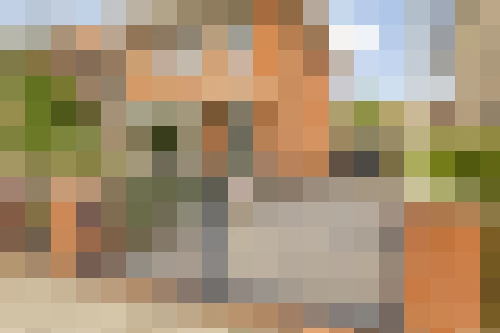  / #53