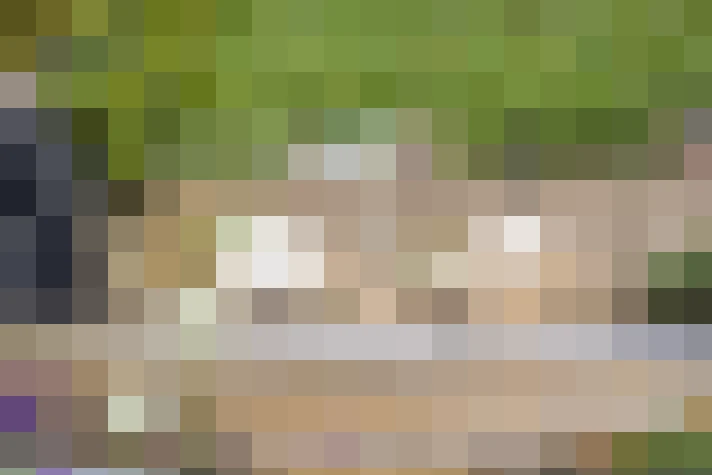  / #18