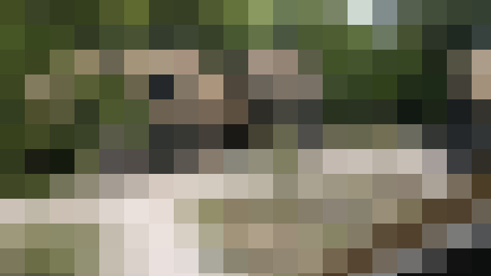  / #13