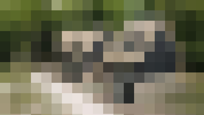  / #14