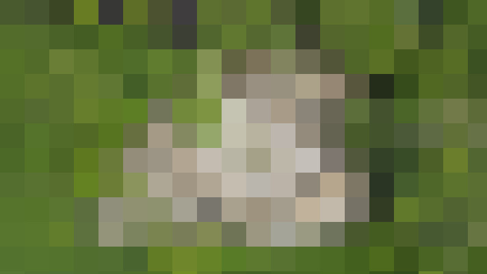  / #18