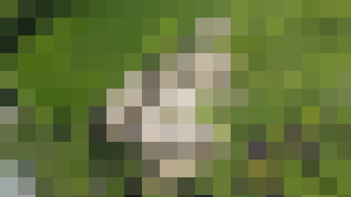  / #21