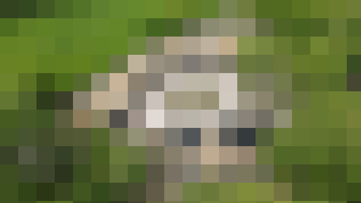 / #17
