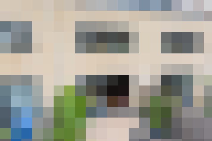  / #19