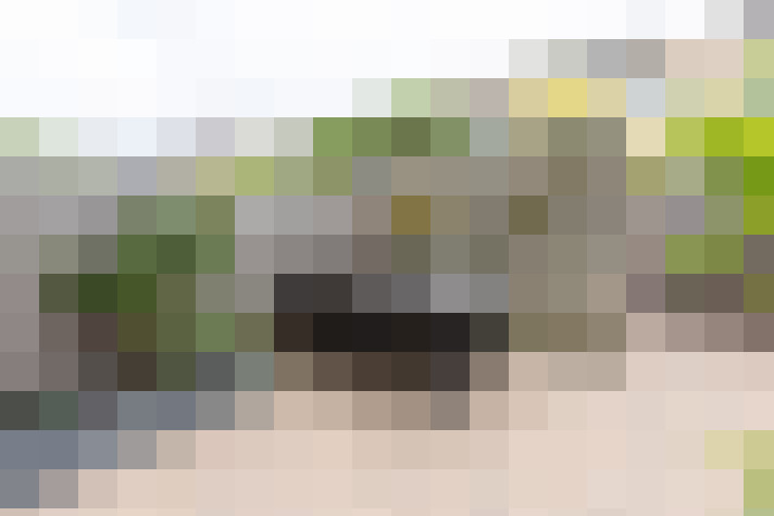 / #16