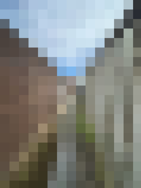  / #37