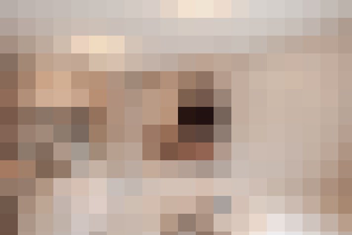  / #11