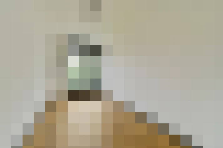  / #29