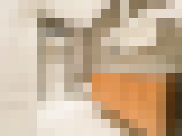  / #26