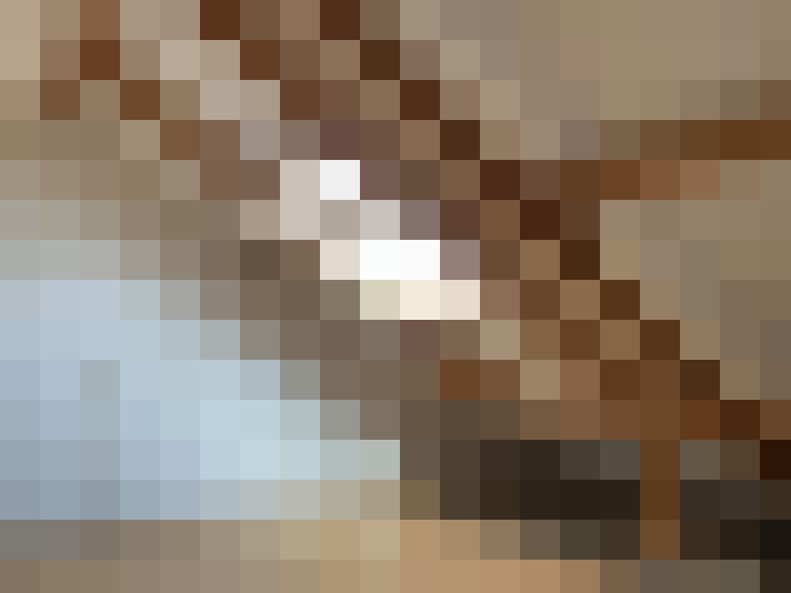  / #14