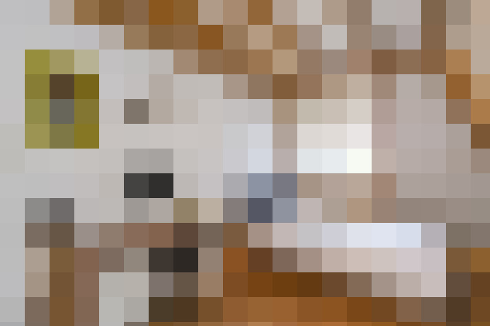  / #51
