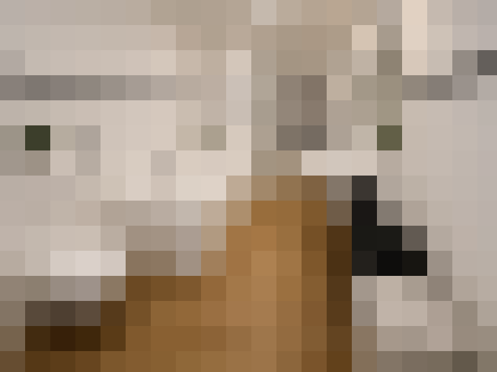  / #9