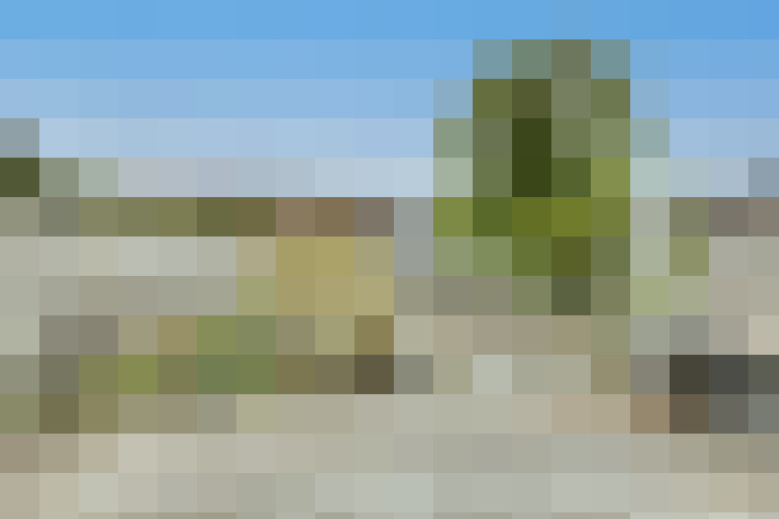  / #18
