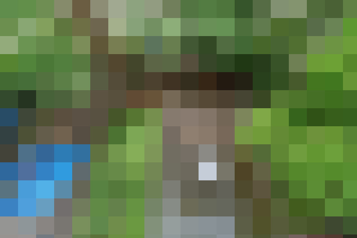  / #16