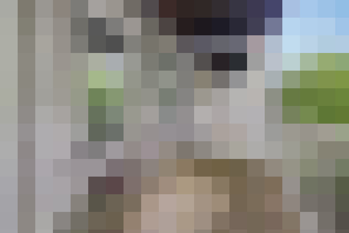  / #14