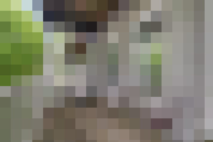  / #15