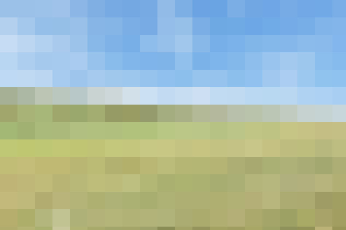  / #65