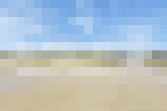  / #66