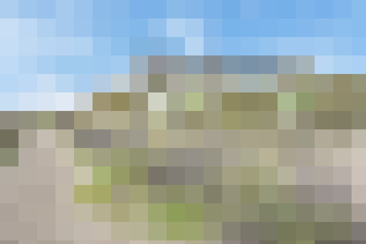  / #71