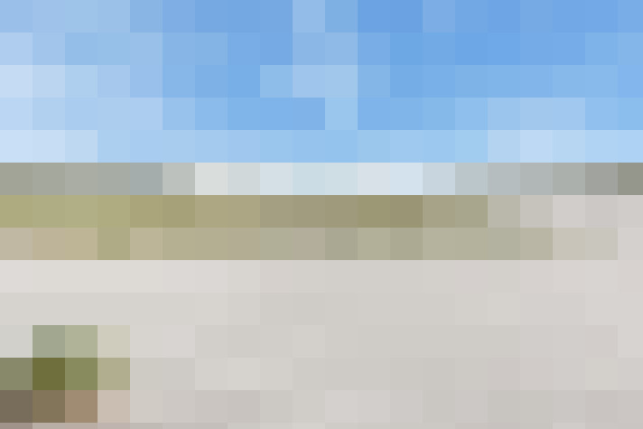  / #67
